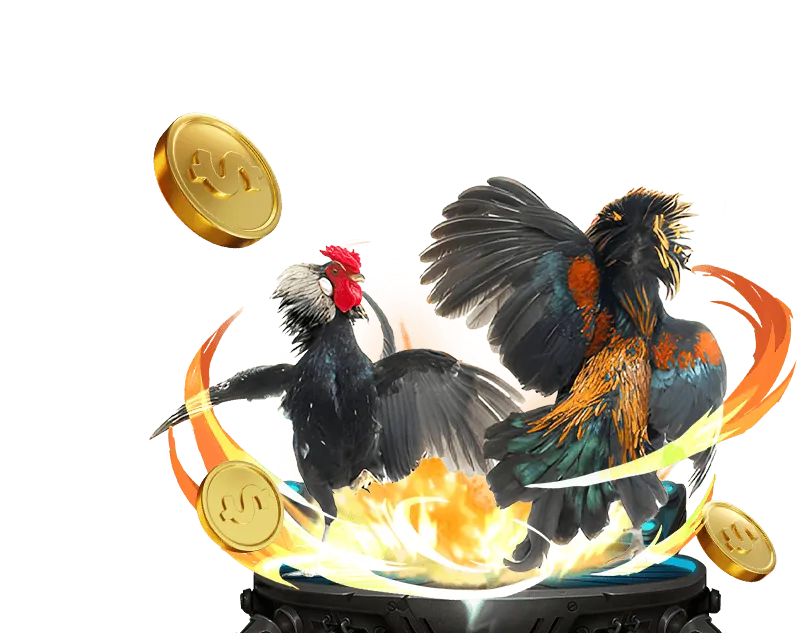 Cá cược công bằng